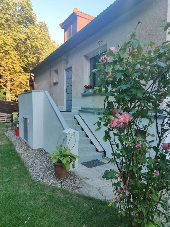 Kameralne Studio W Zacisznej Okolicy Sopot Exteriör bild